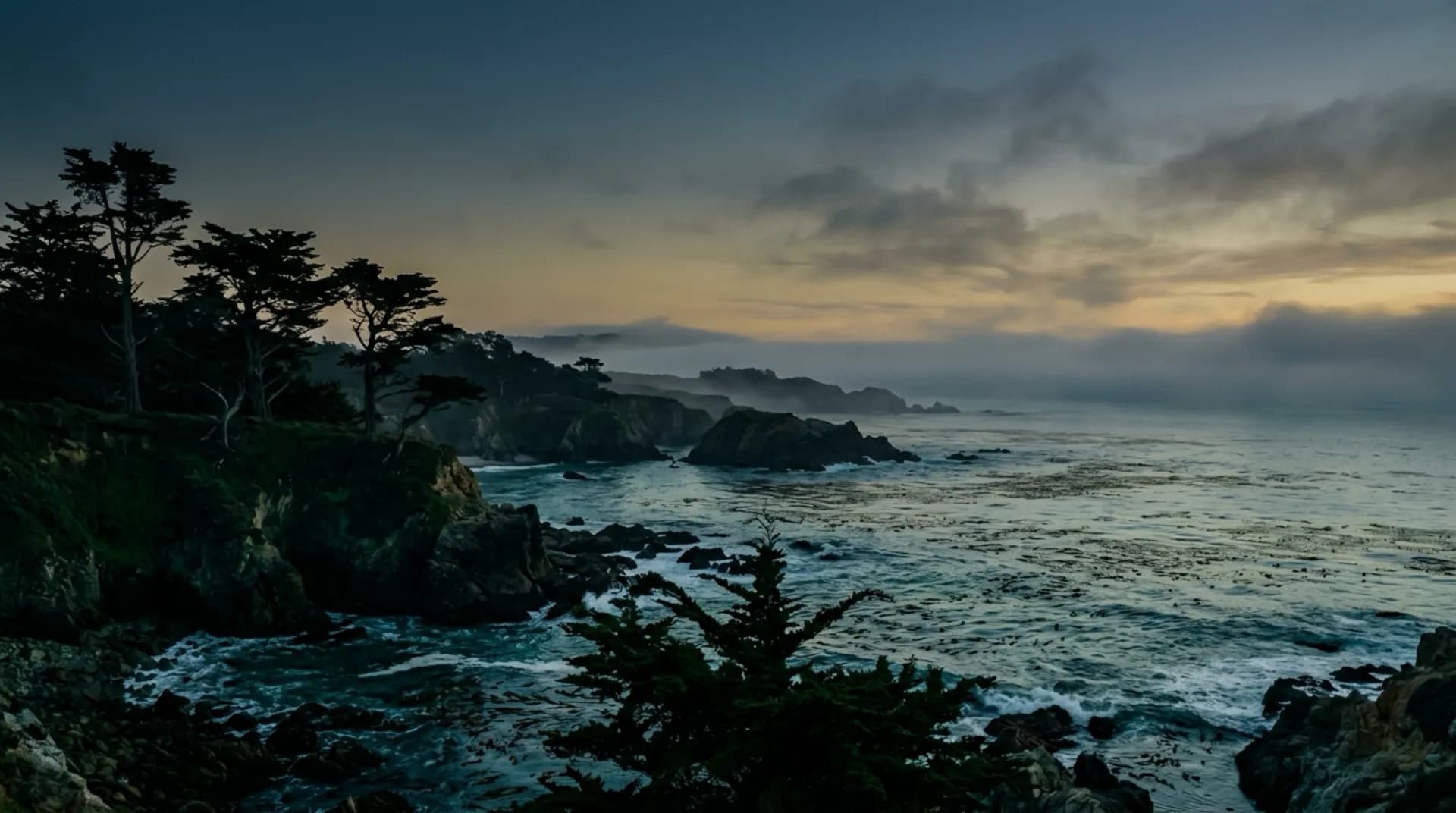 The Monterey Peninsula shoreline with cypress and open water at dusk