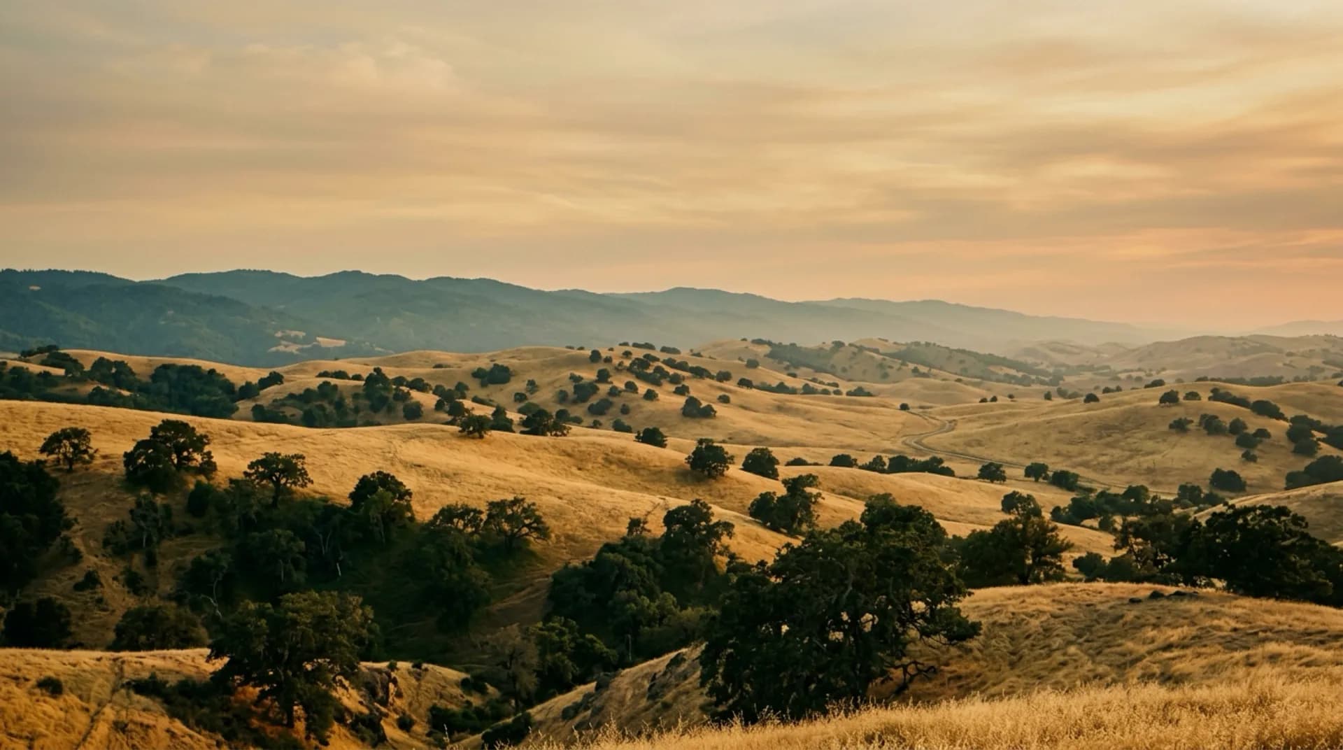 Dry San Benito hills above the Hollister valley floor in late afternoon