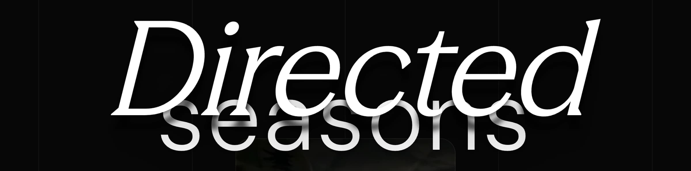 Detail of the interlocked headline: the serif word Directed casting a long shadow across the sans word beneath it