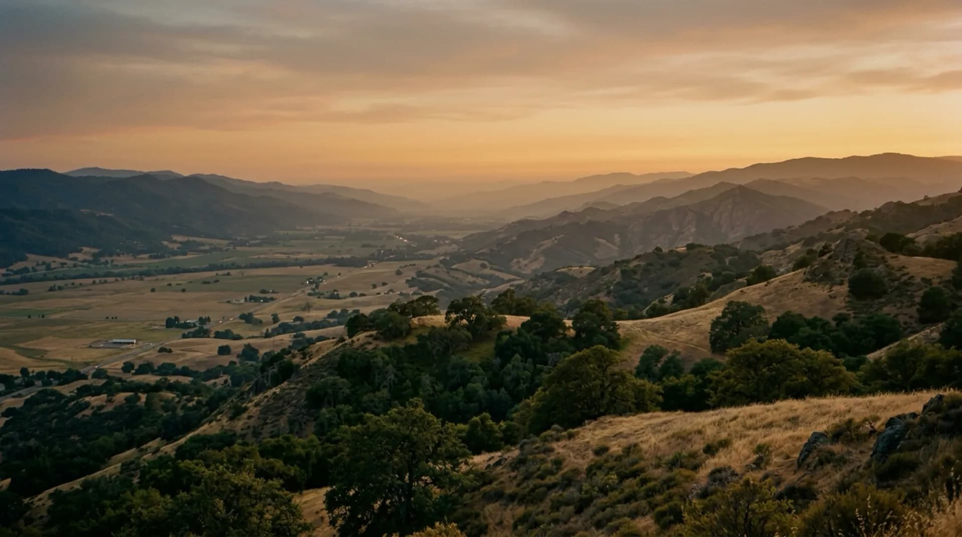 Vineyard and orchard rows in the South Santa Clara Valley under low hills