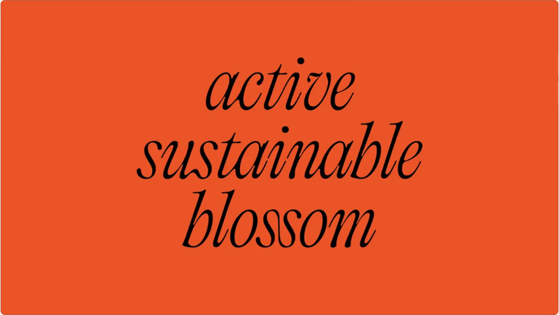 Type board: active sustainable blossom, set in the brand serif