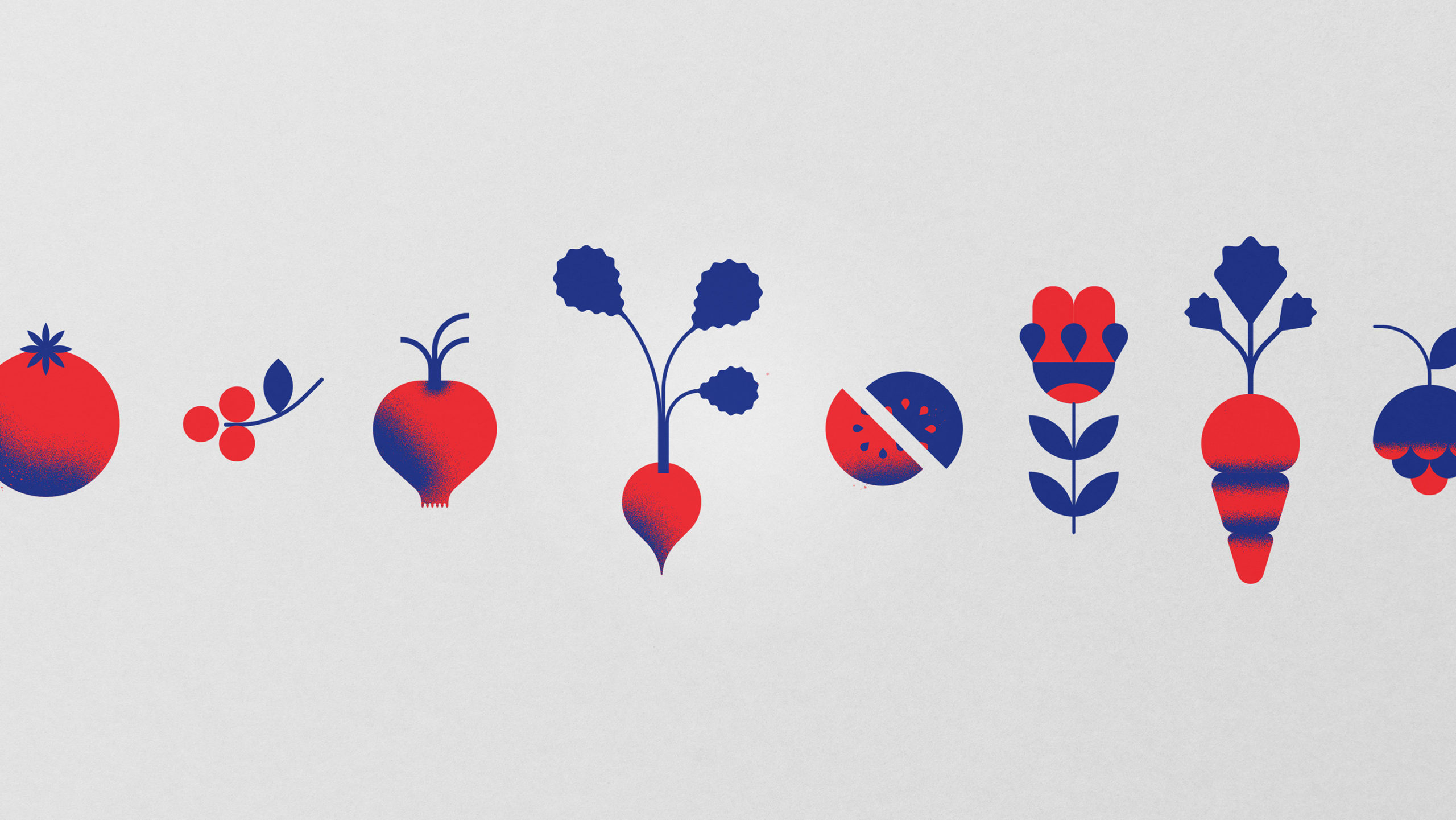 Belka — design detail
